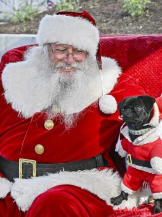 San Marcos 'Holly Jolly' Holiday Market